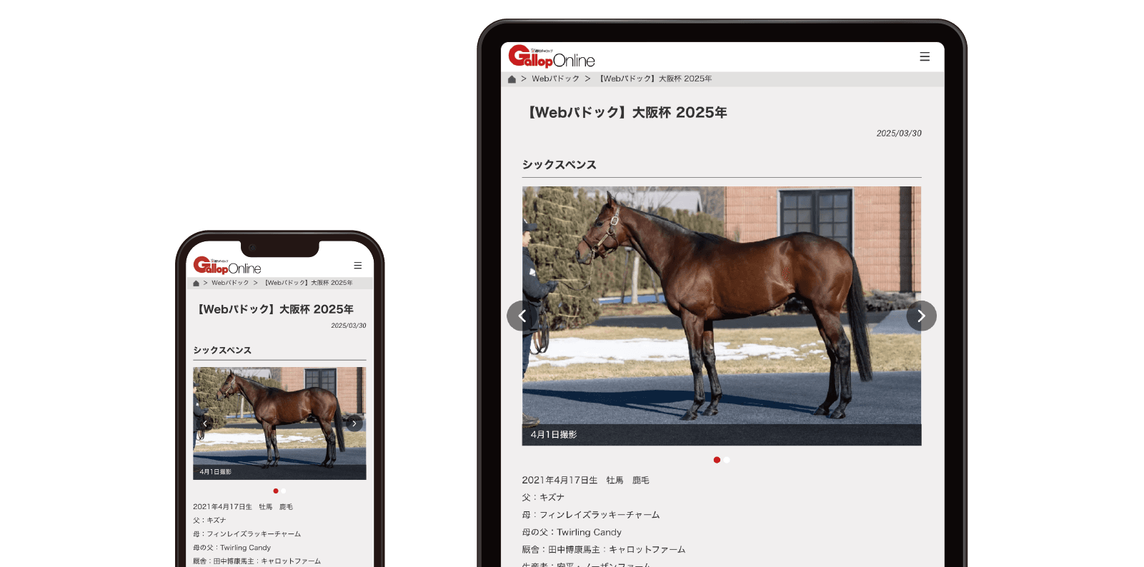 全ての記事が読み放題