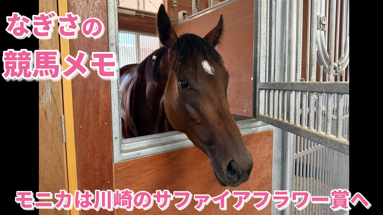 【なぎさの競馬メモ】モニカは川崎のサファイアフラワー賞へ
