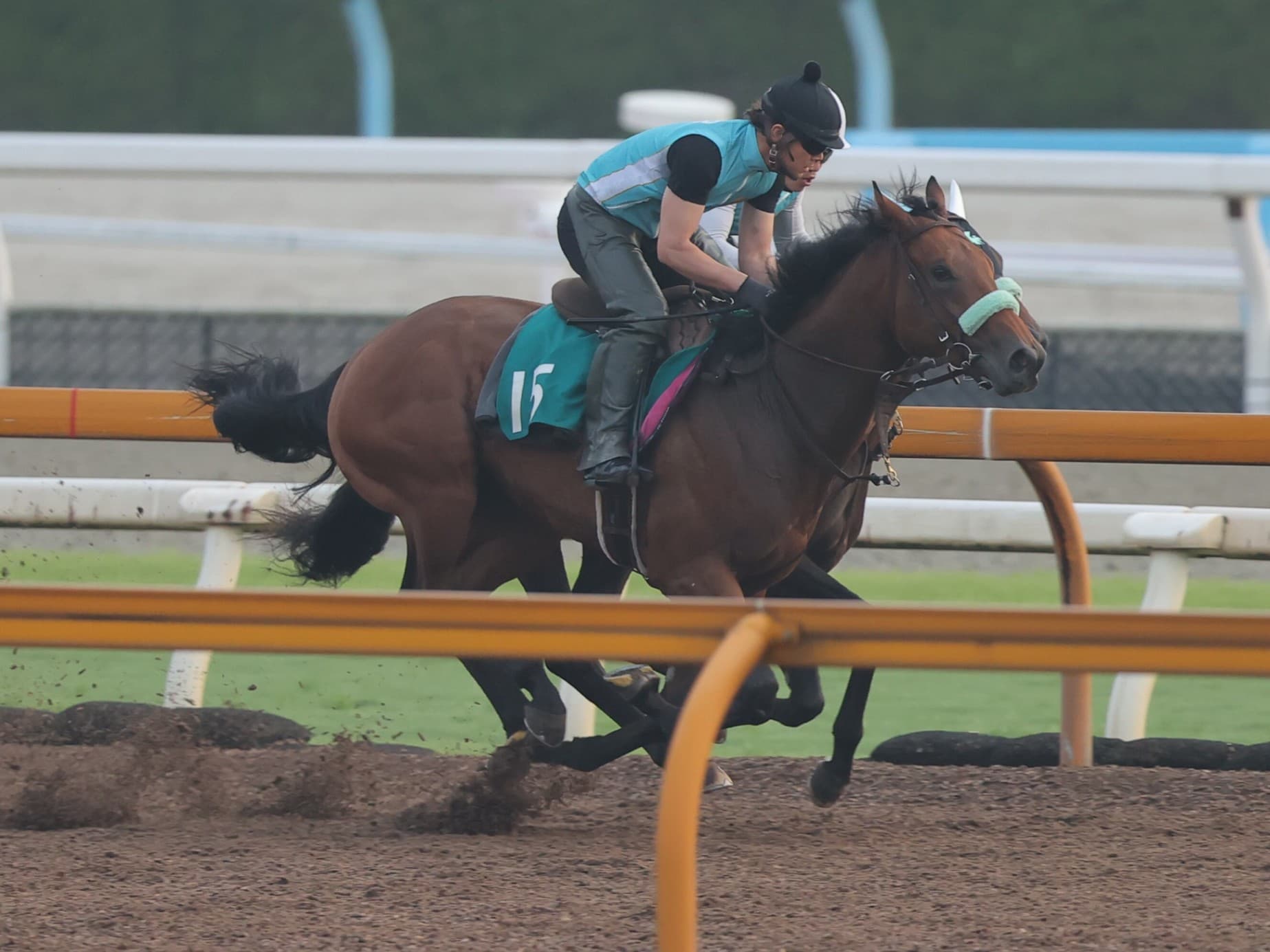 2歳馬情報：サンライズジャポネ（サイマーの2024）
