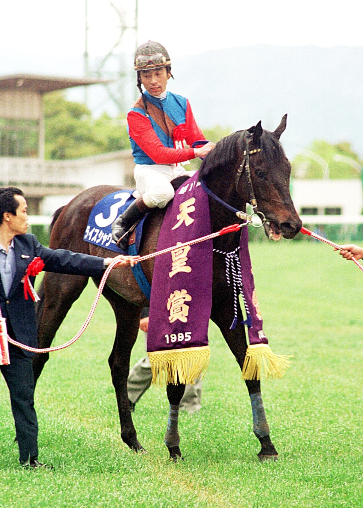 「週刊100名馬」ライスシャワー　あの坂の向こうに【前編】by阿部珠樹
