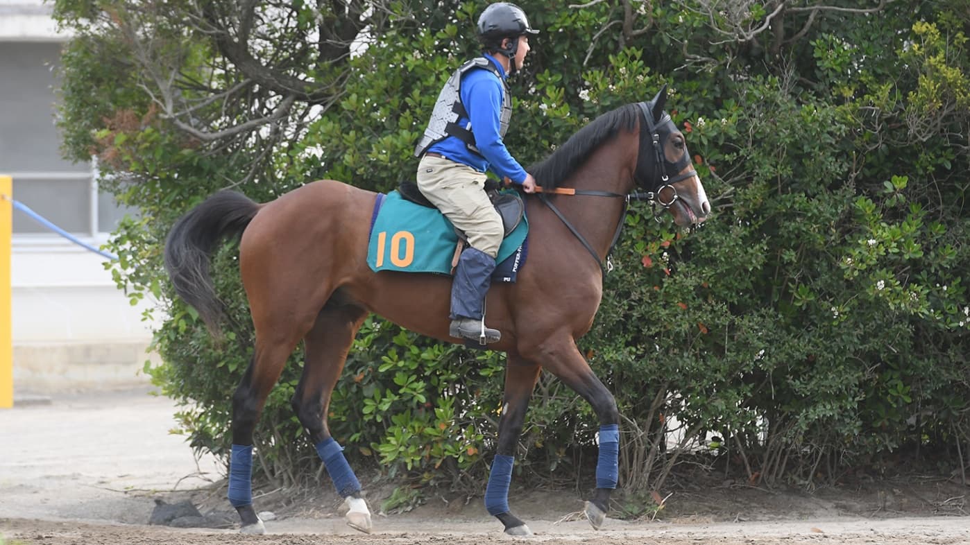 2歳馬情報：デザートスピリット（ツキノサバクの2024)5月上旬