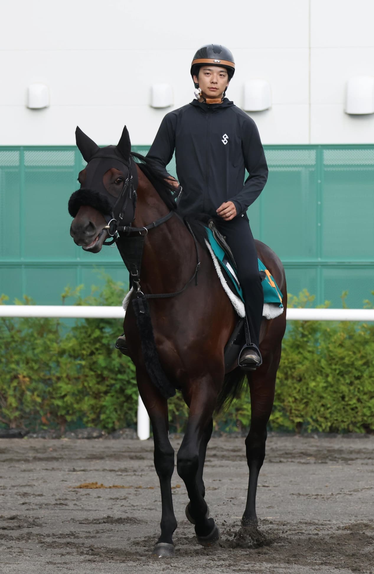 2歳馬情報：ショウナンガレオン（タングリトナの2024）