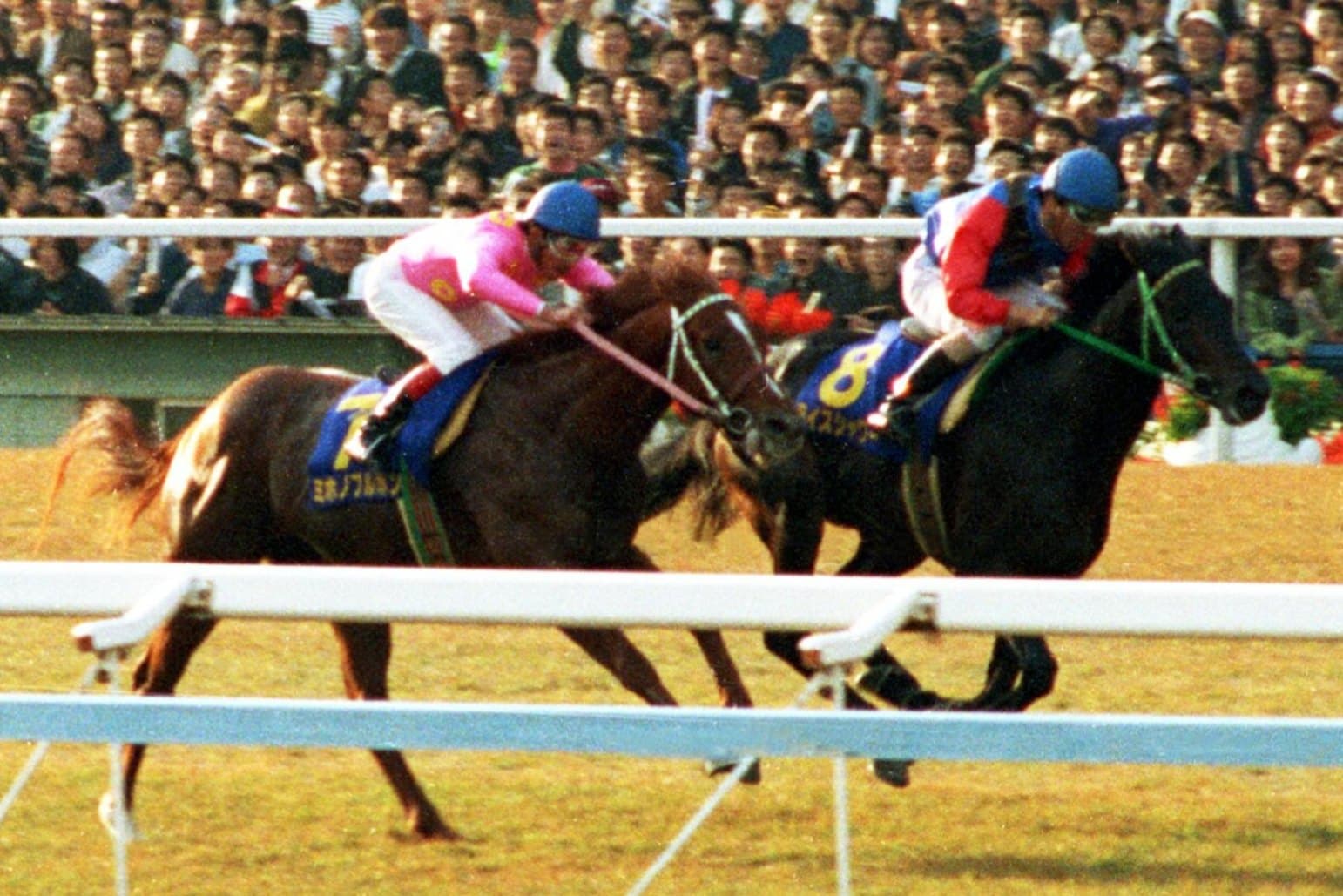 「週刊100名馬」ライスシャワー　あの坂の向こうに【中編】by阿部珠樹