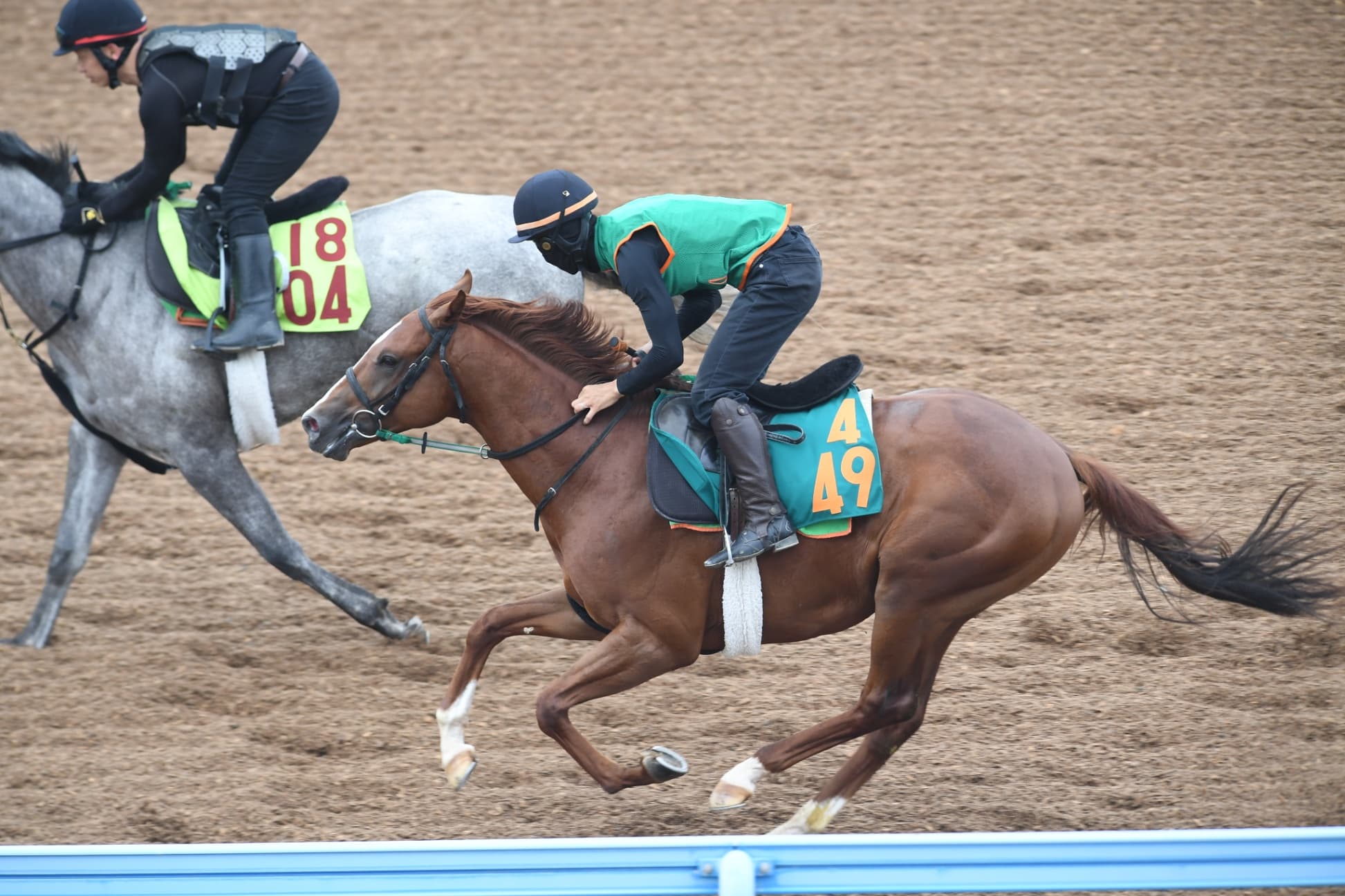 （428）～待ち望んだ舞台で大いに期待・セイカタカキヤチク