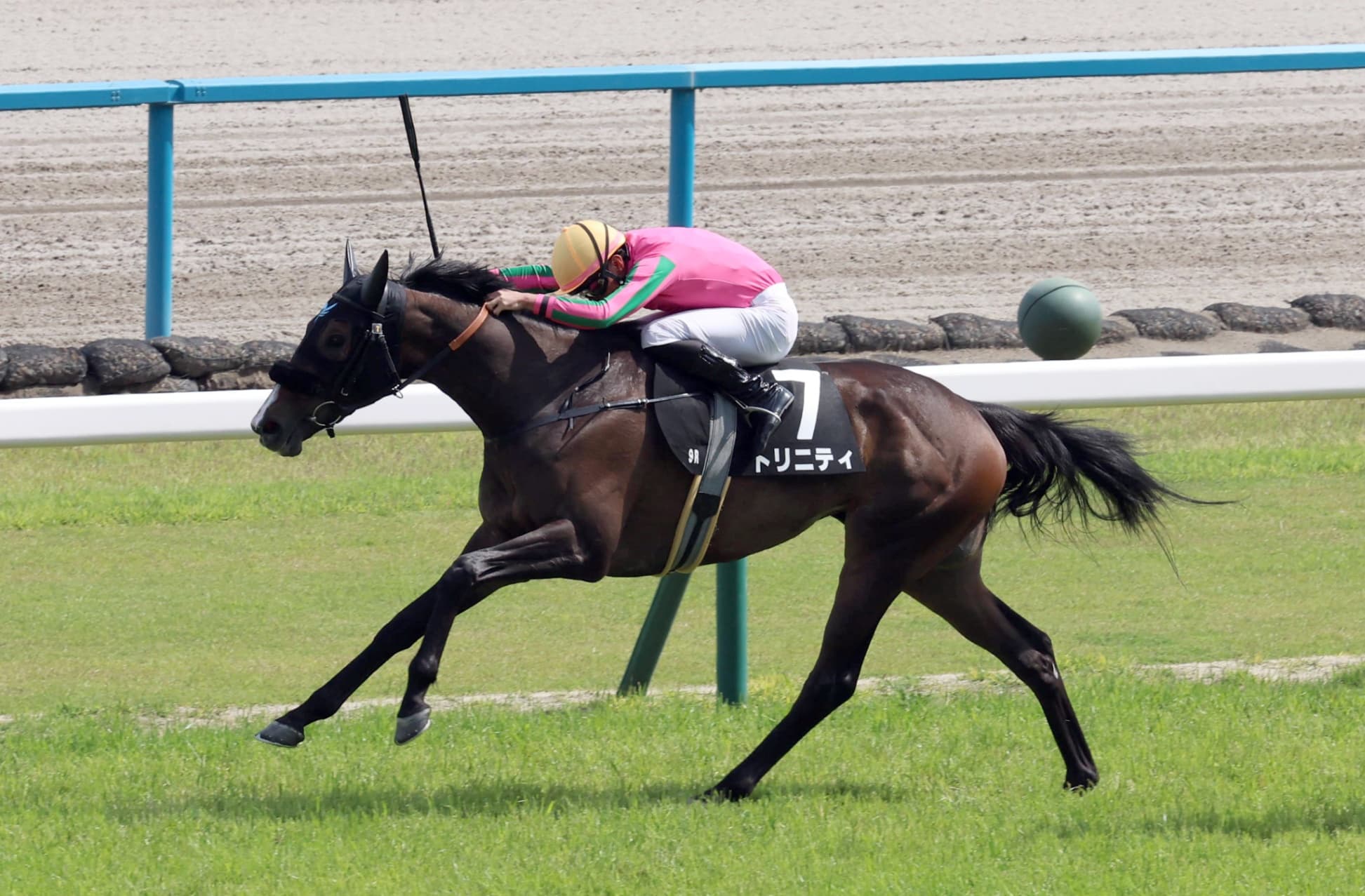 【矢車賞】母はオークス馬 トリニティが2勝目をマーク