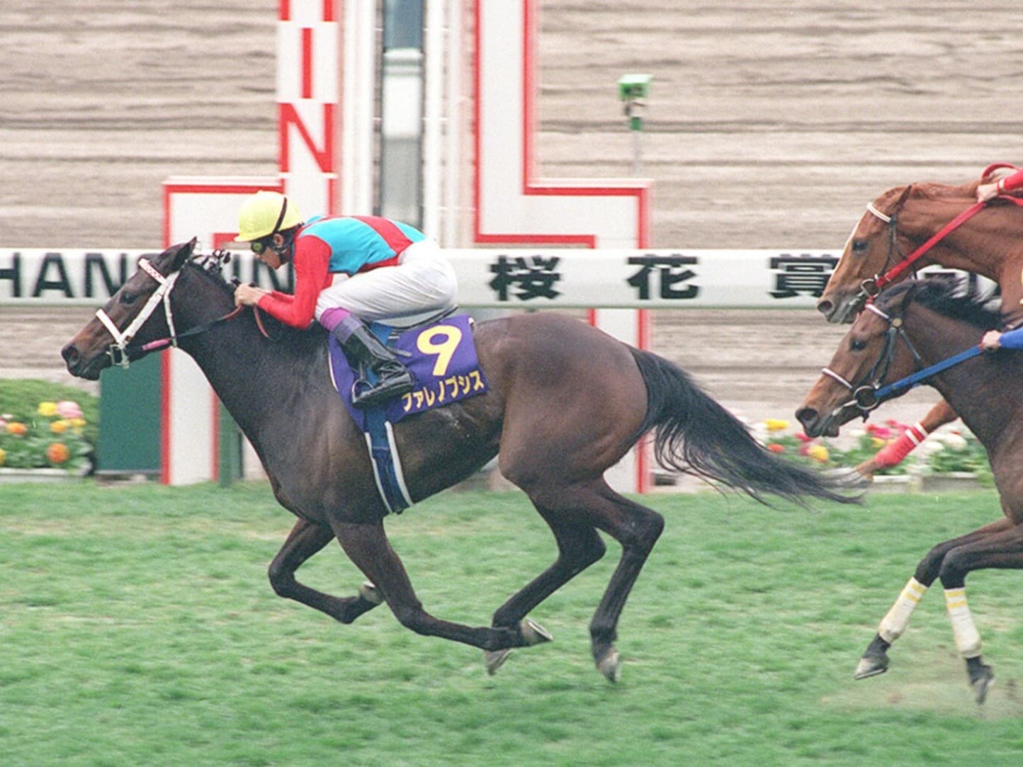 「週刊100名馬」ファレノプシス　情念花開くとき【中編】by江面弘也