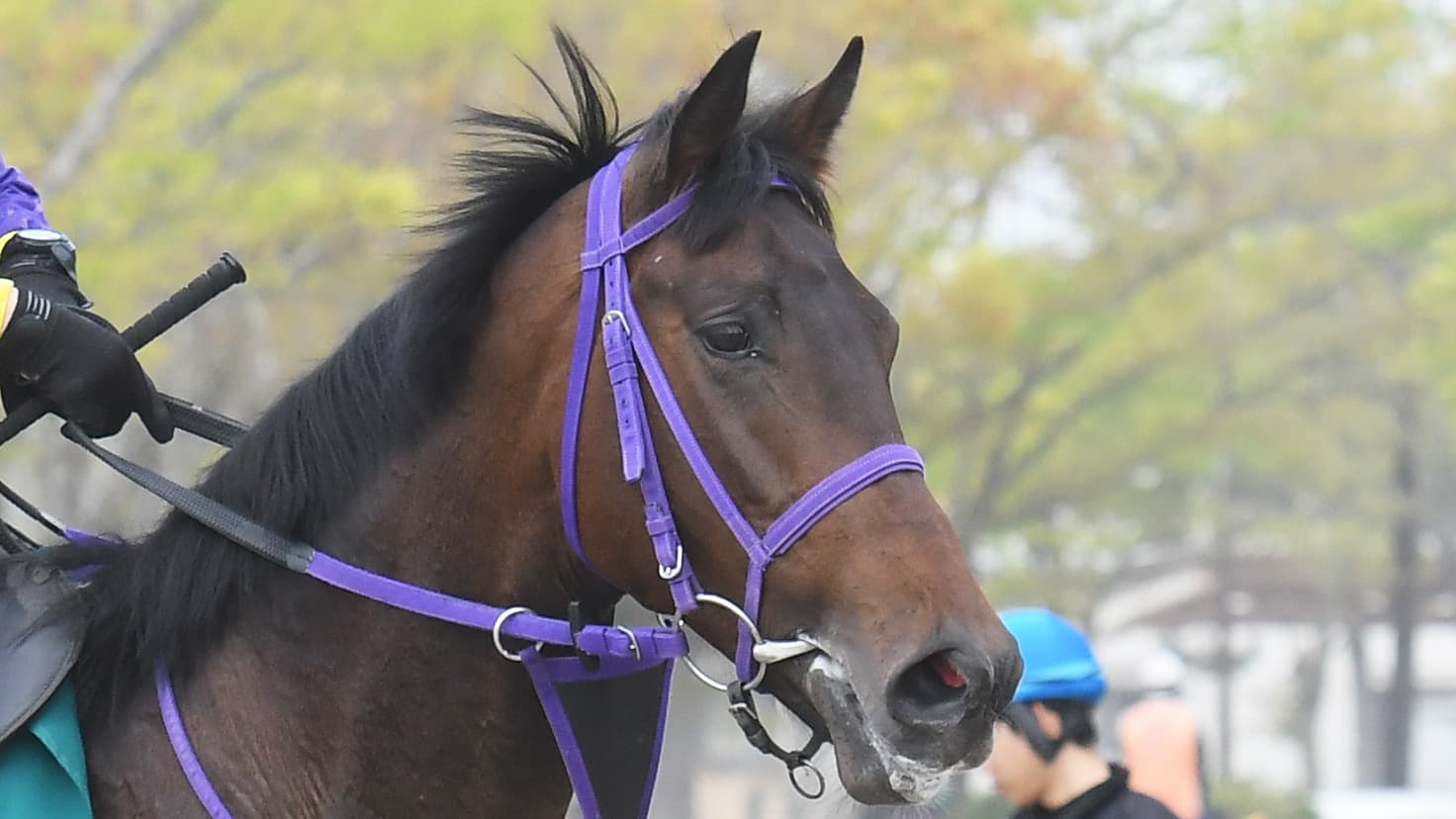 2歳馬情報：チェスティーノ(チェッキーノの2024)　4月中旬