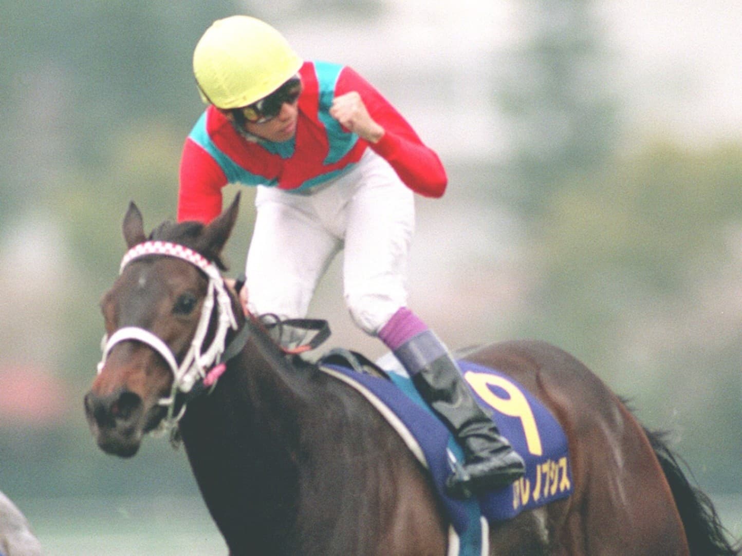 「週刊100名馬」ファレノプシス　情念花開くとき【前編】by江面弘也