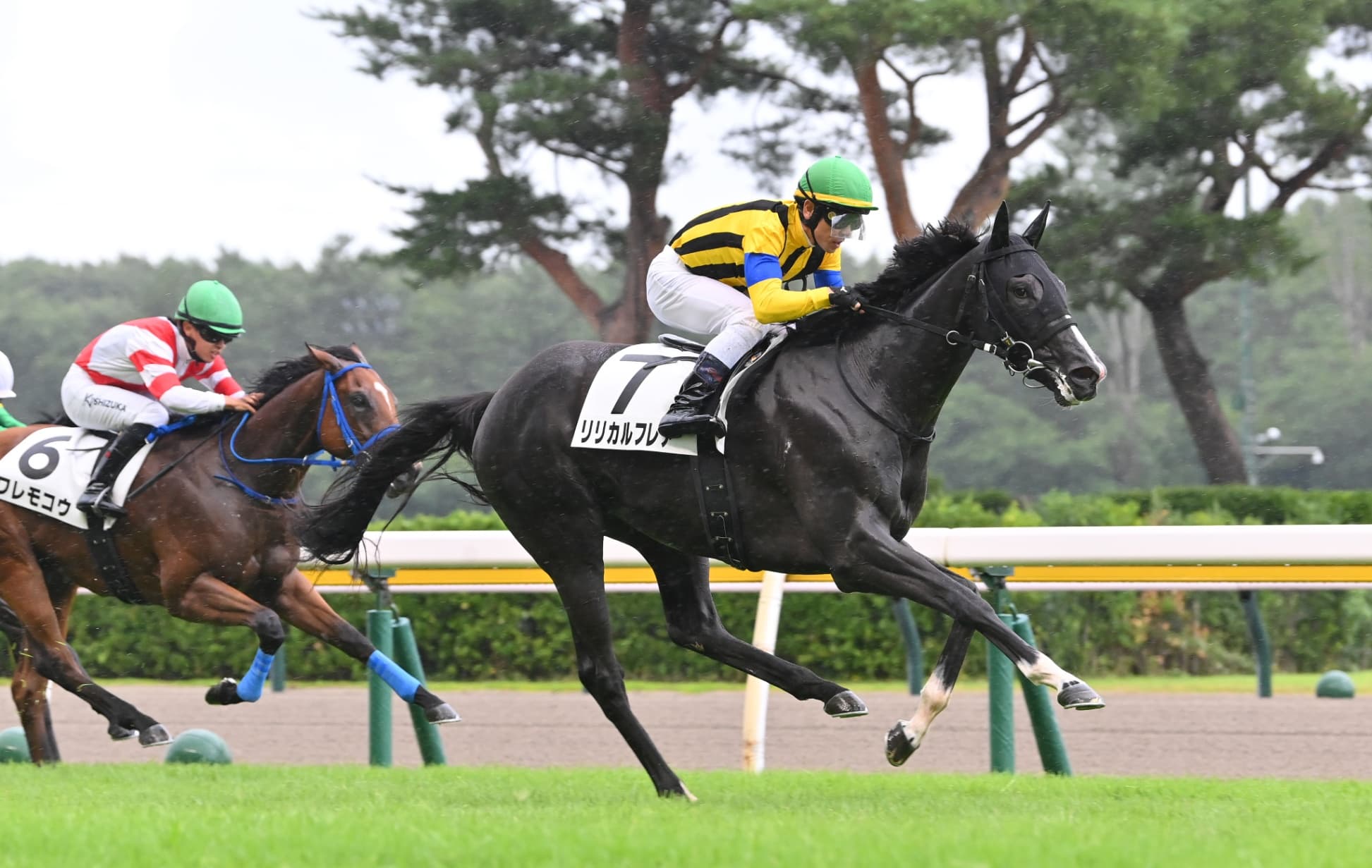 2歳馬情報：リリカルフレア（キャーントストップの2024）