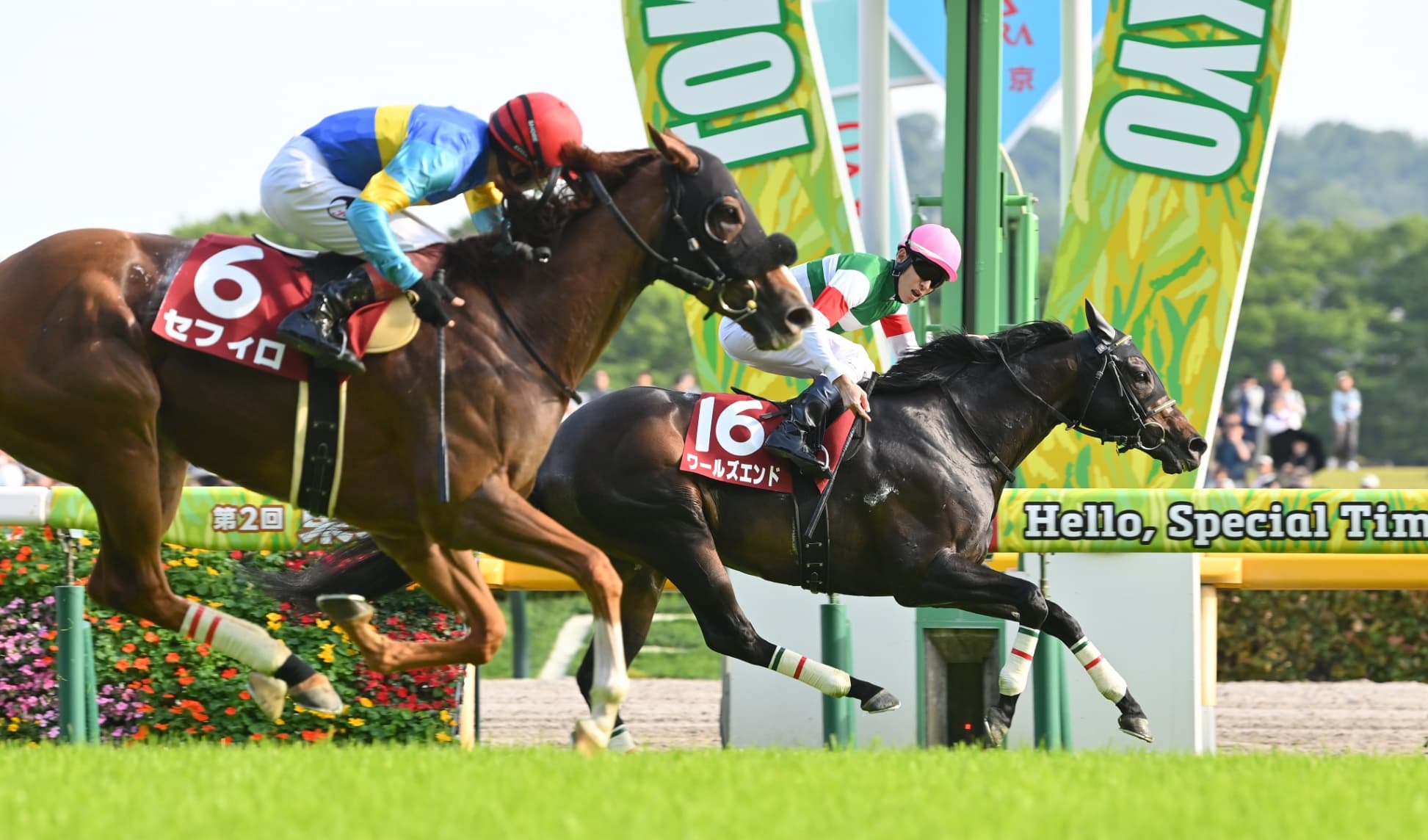 粘ったか？　差したか？　ワールズエンドが粘り発揮で重賞初勝利【京王杯スプリングC】
