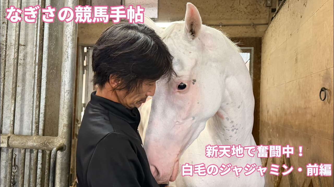 新天地で奮闘中！　白毛のジャジャミン・前編
