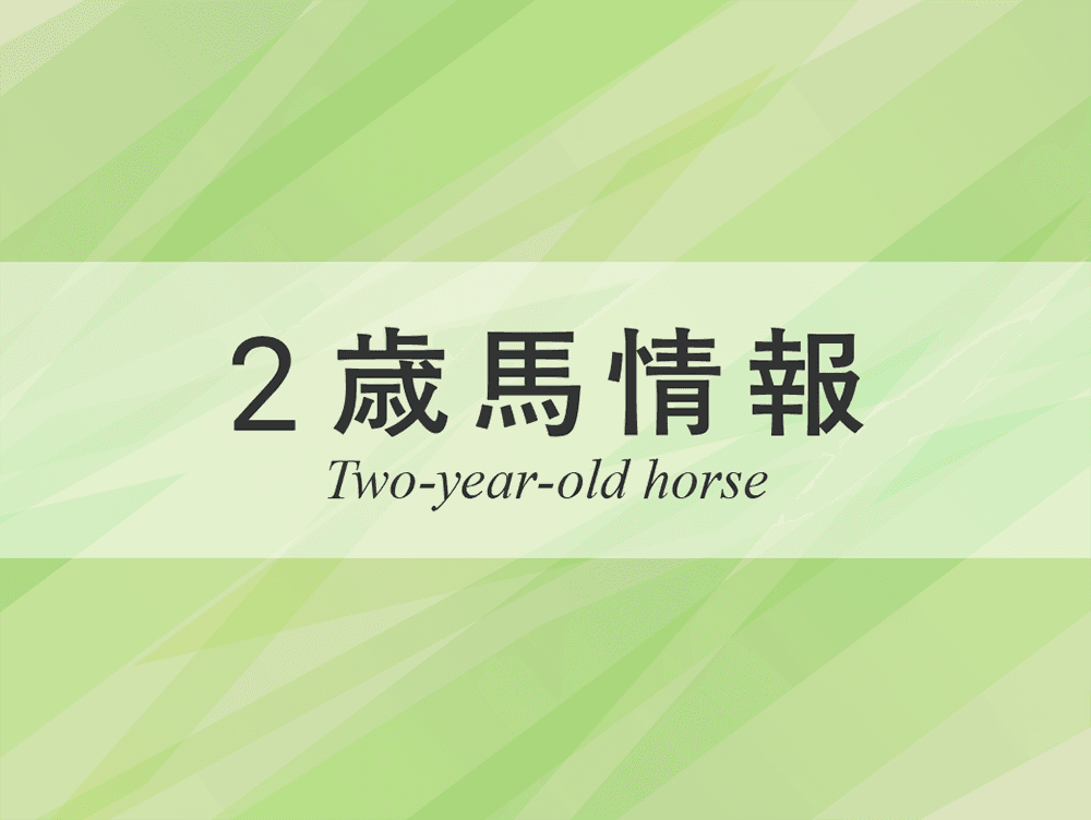 POG追い切り絶好調：27日、28日（関東馬）