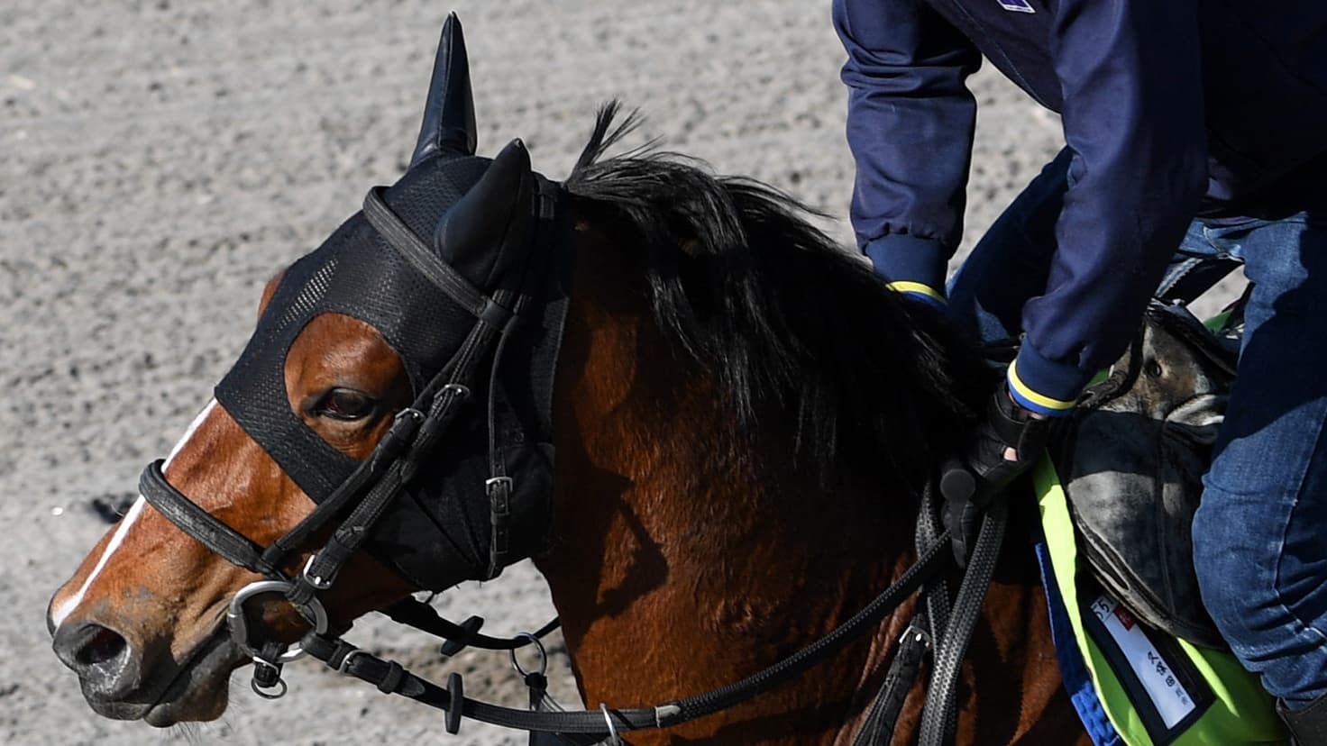 2歳馬情報：サクセスハーモニーの2024　4月上旬