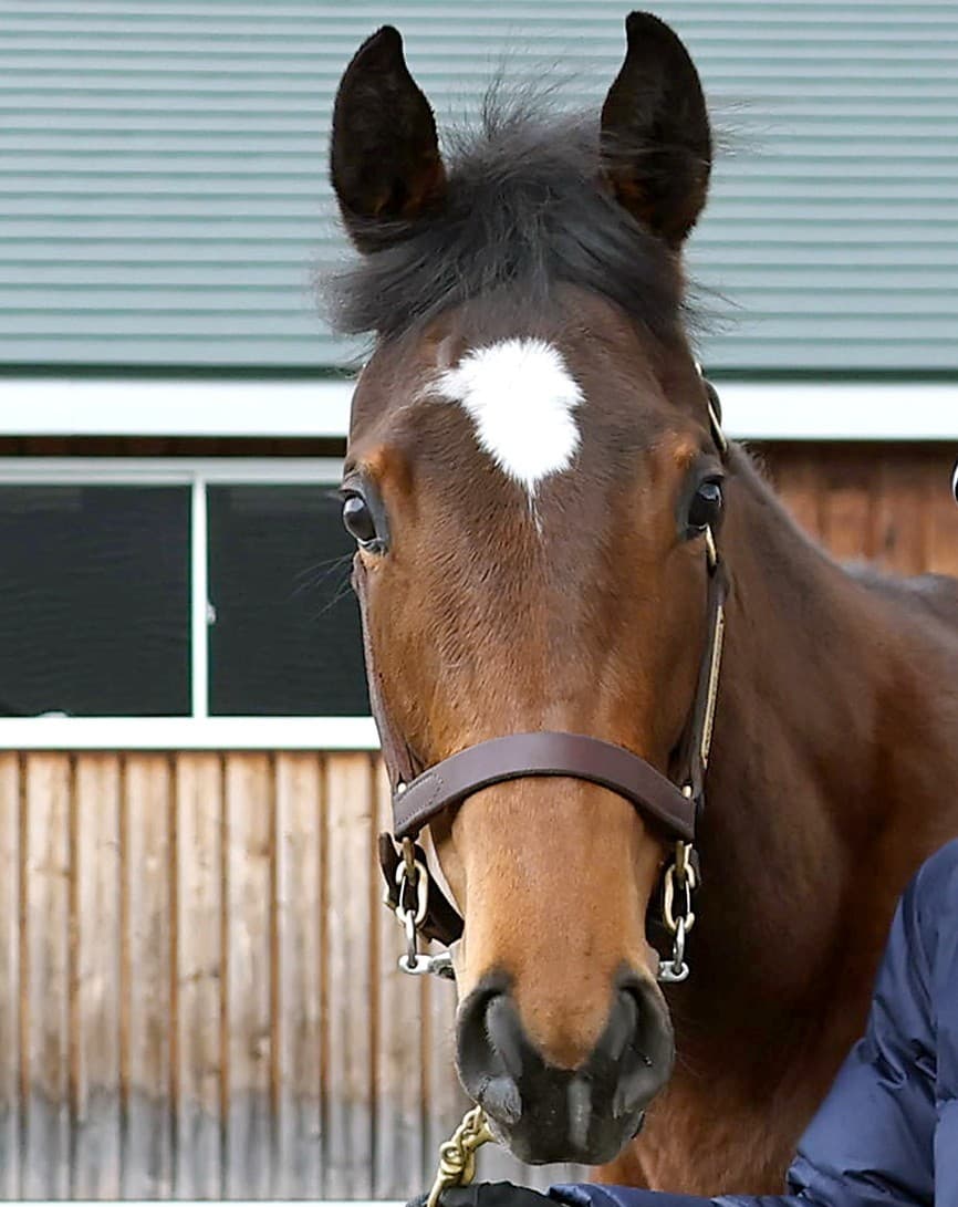 2歳馬情報：レジューノワール（アーモンドアイの2024）3月上旬