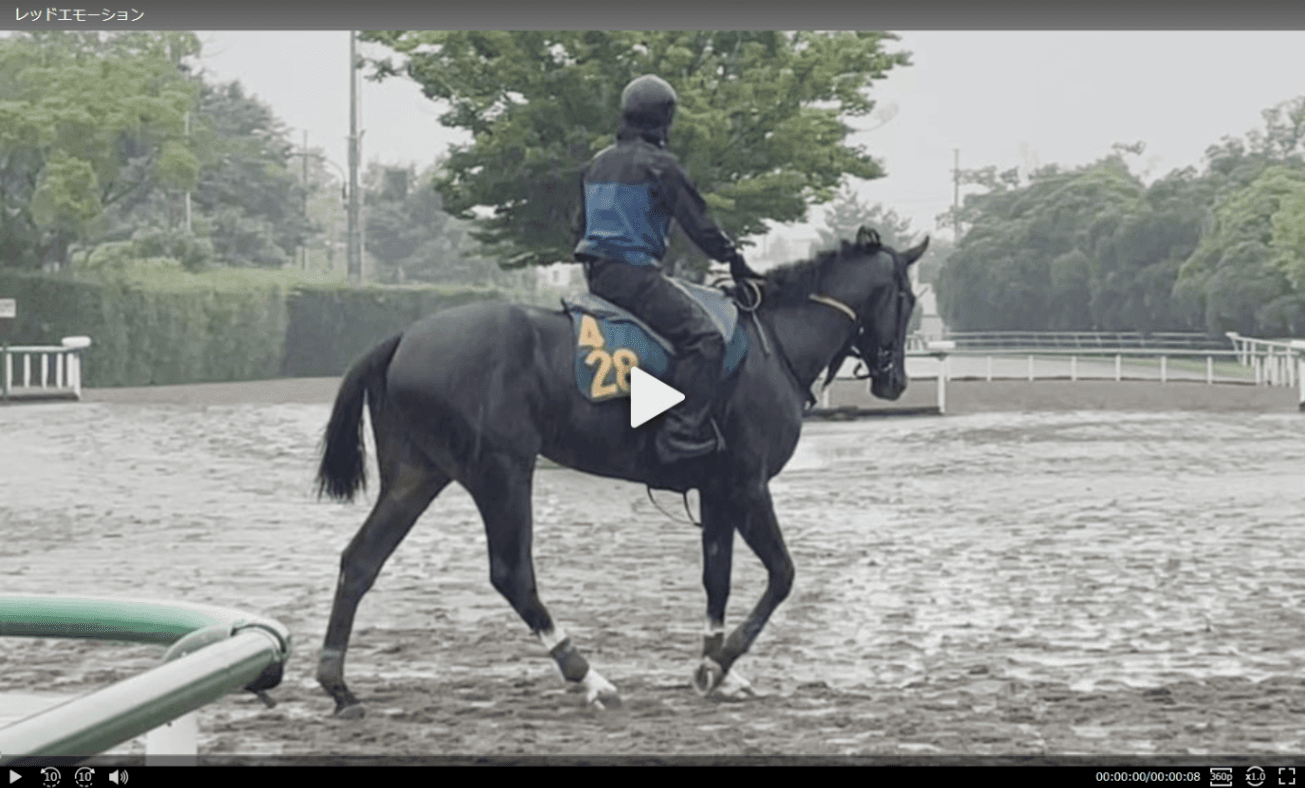 【動画・2歳盛り】レッドエモーション