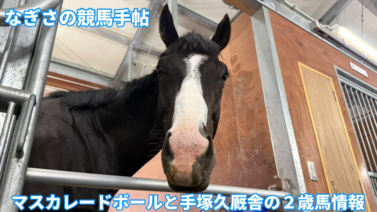 マスカレードボールと手塚久厩舎の2歳馬情報