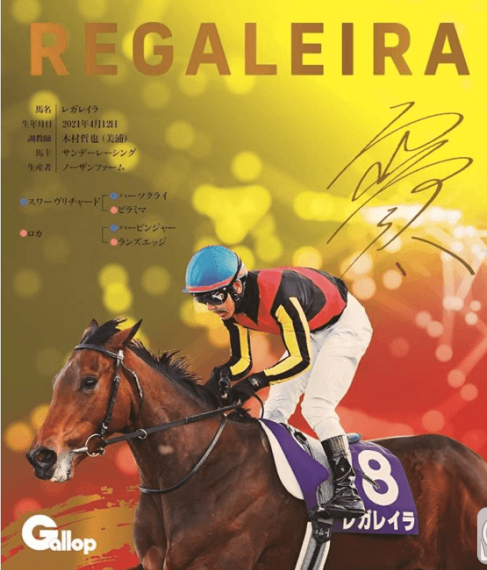 名馬全史色紙コレクション第5弾　（ランダム1枚）