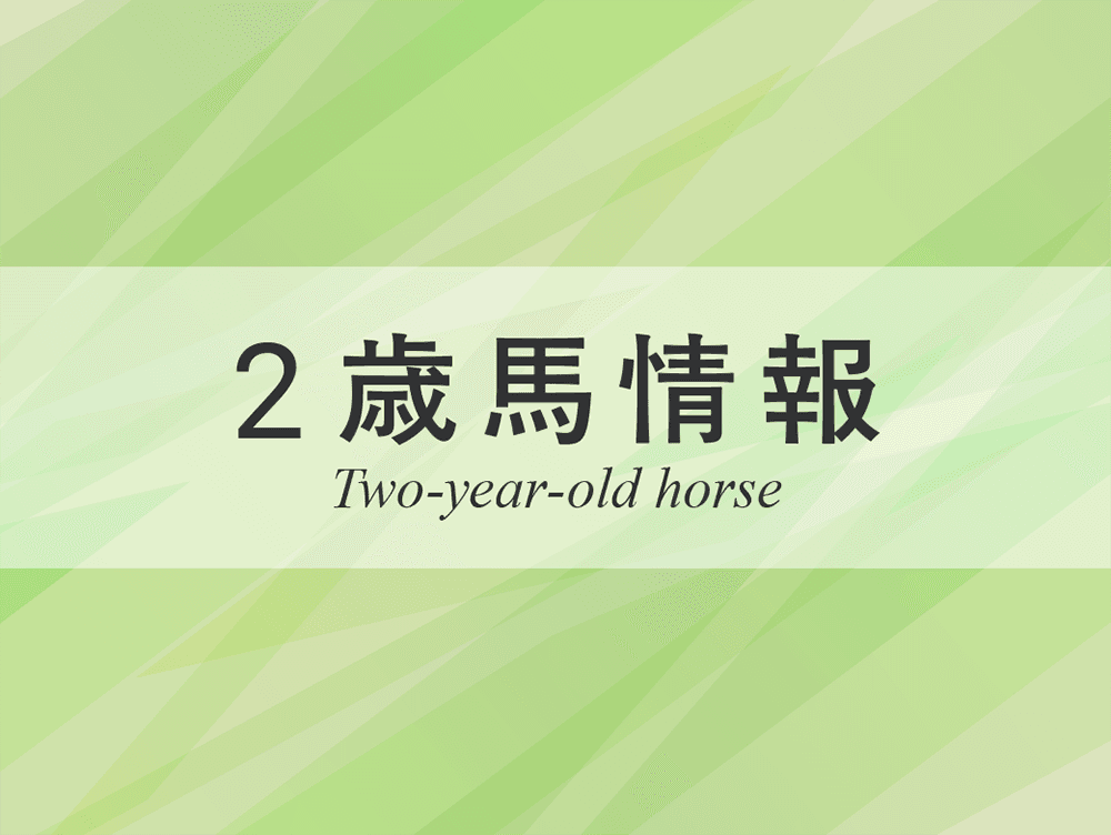 POG追い切り絶好調：9月30日、10月1日（関東馬）