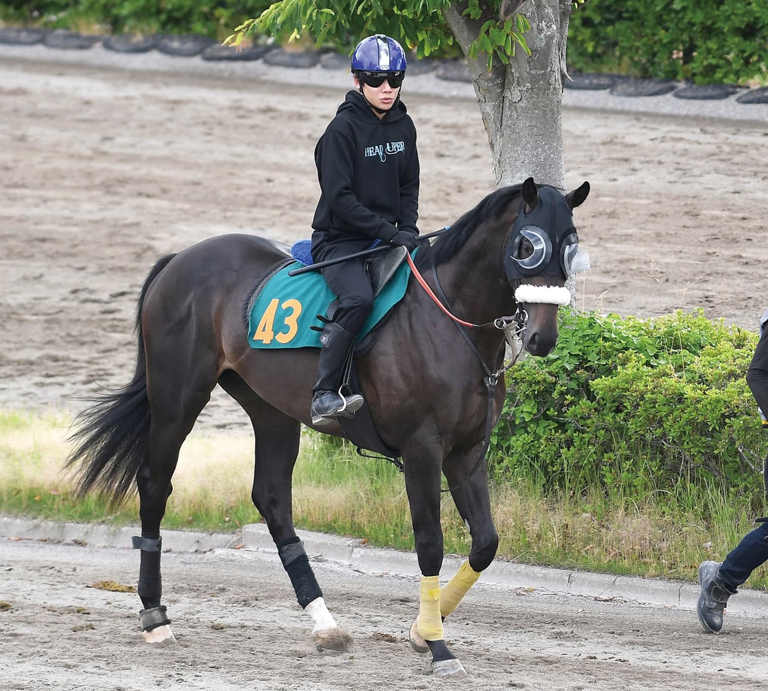 注目!!2歳新馬 新馬戦開幕ウイーク特別版