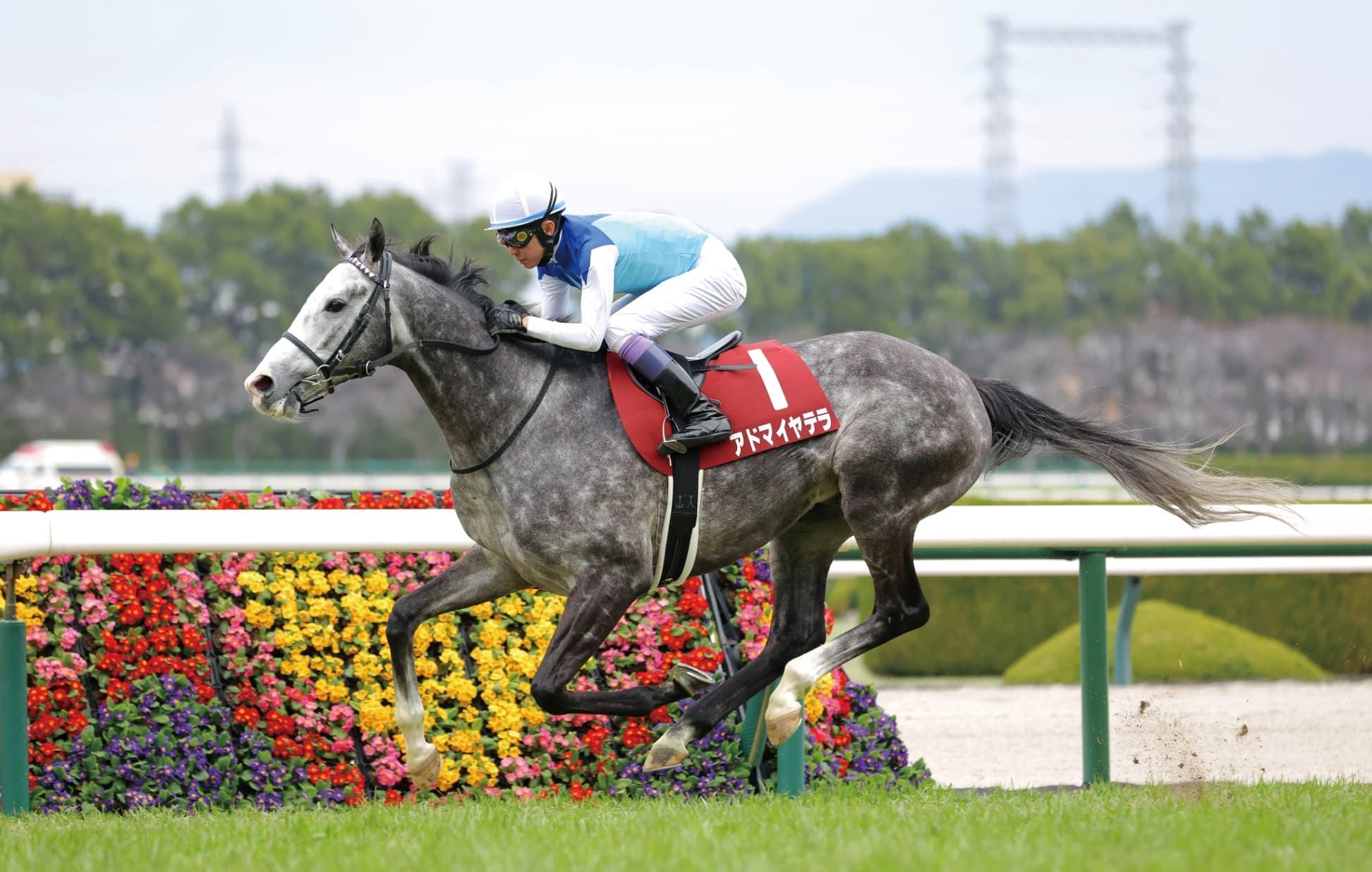 札幌記念（8月16日 札幌 GⅡ 芝2000㍍）