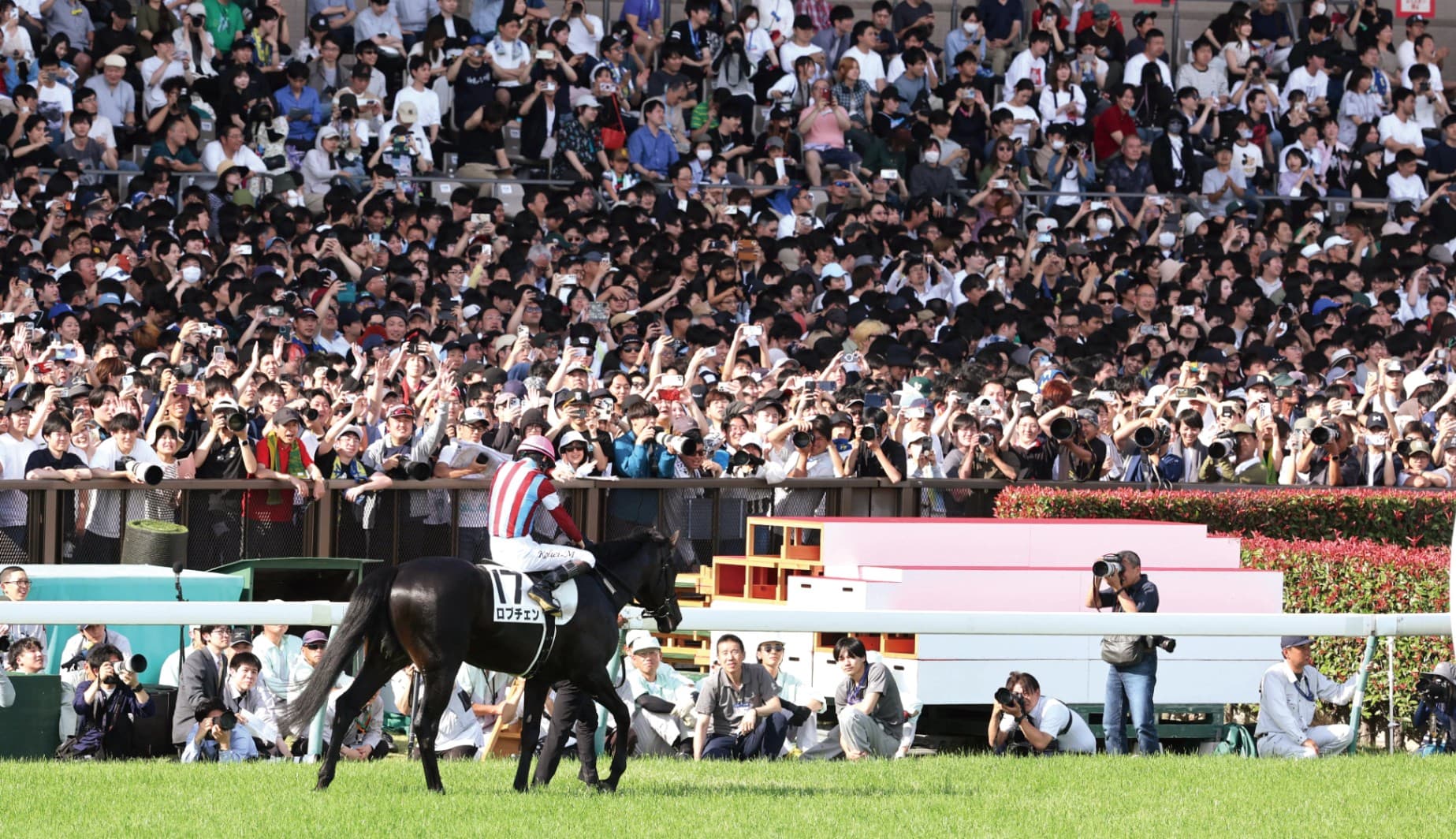 【日本ダービー】ロブチェンが２冠で7944頭の頂点に