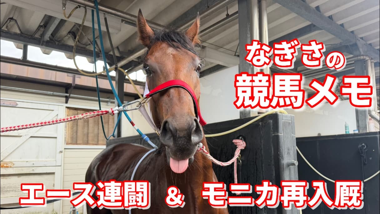 エース連闘＆モニカ再入厩