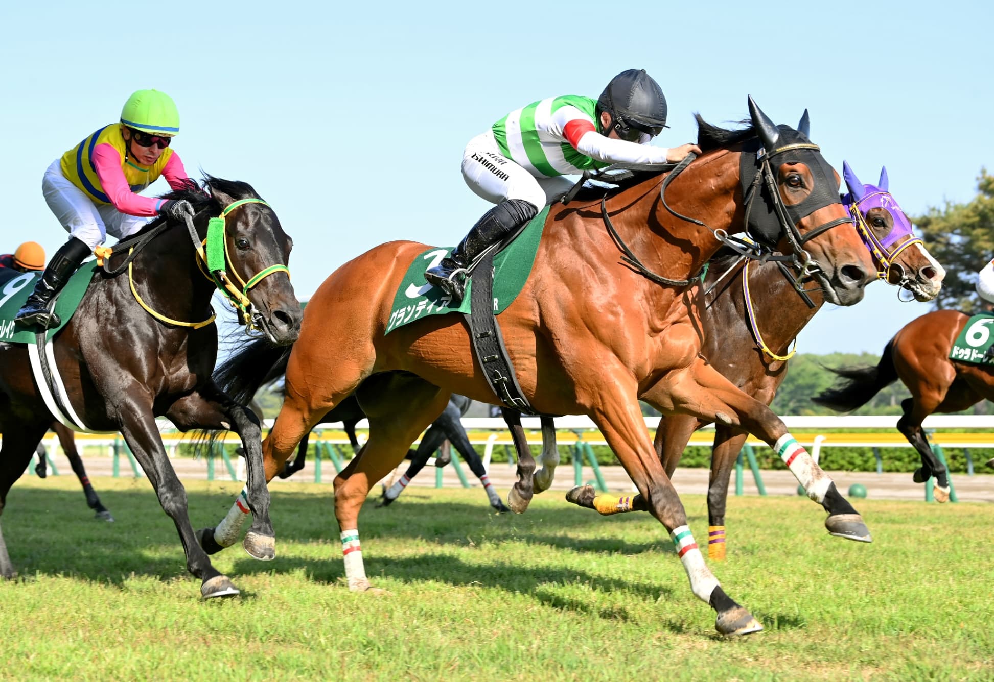 【新潟大賞典】７番人気の７歳馬グランディアが７度目の挑戦で重賞初勝利