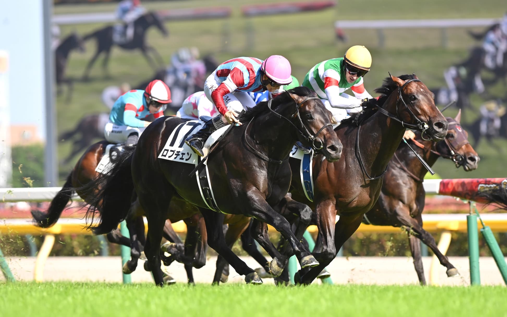【日本ダービー】松山弘平騎手が感激の男泣き　ロブチェンが２冠で7944頭の頂点に