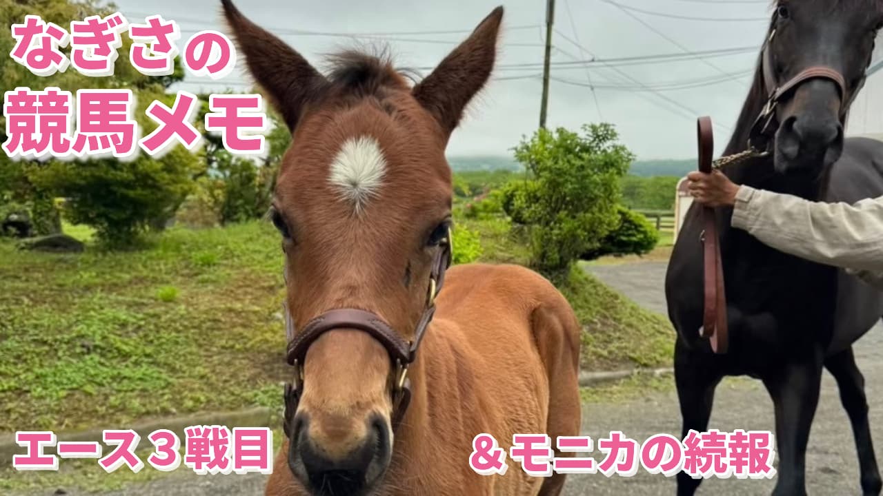 エース3戦目＆モニカの続報