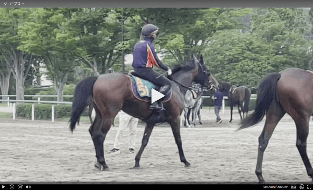 【動画・2歳盛り】ソーロブスト