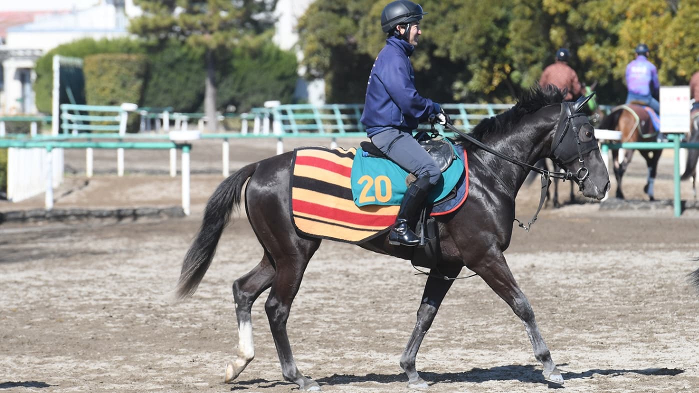 2歳馬情報：フィリオソラーレ（フィリアプーラの2024)3月中旬