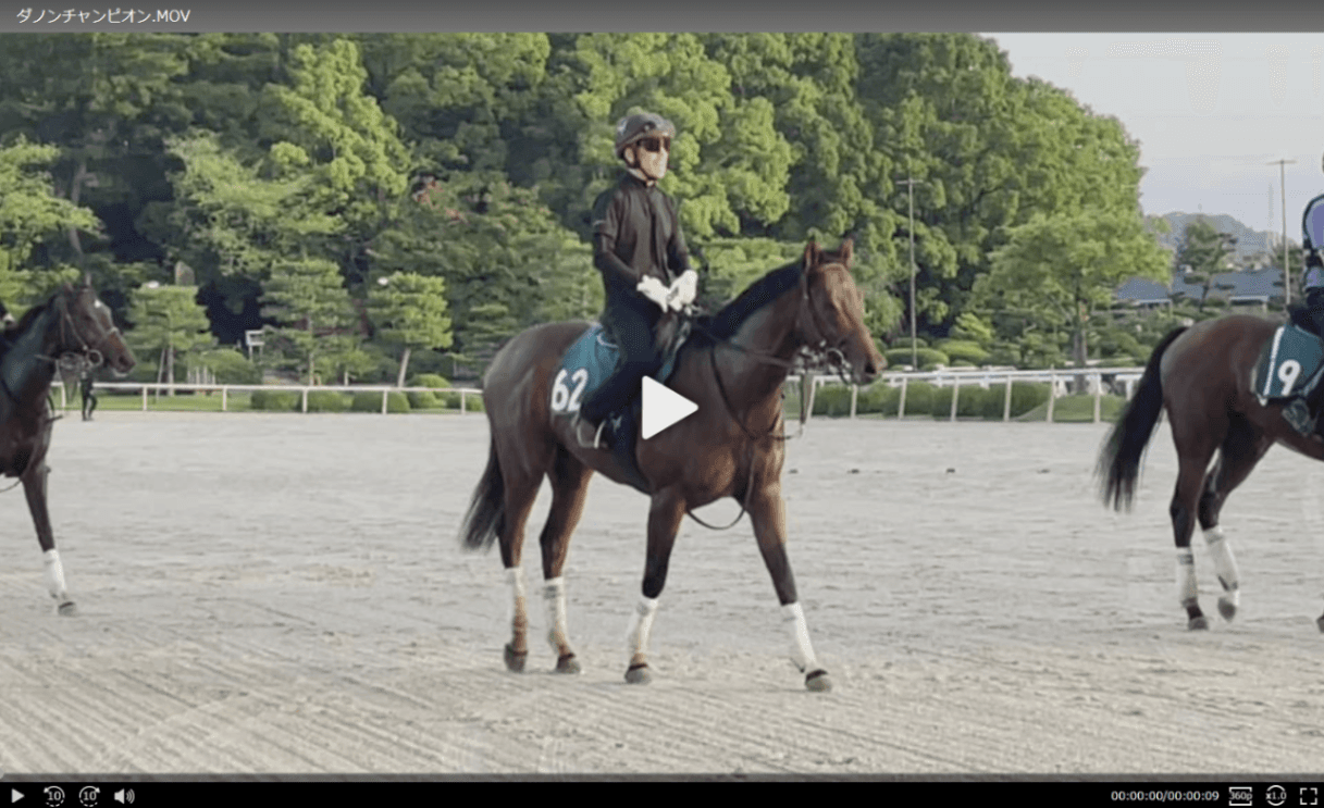 【動画・2歳盛り】ダノンチャンピオン