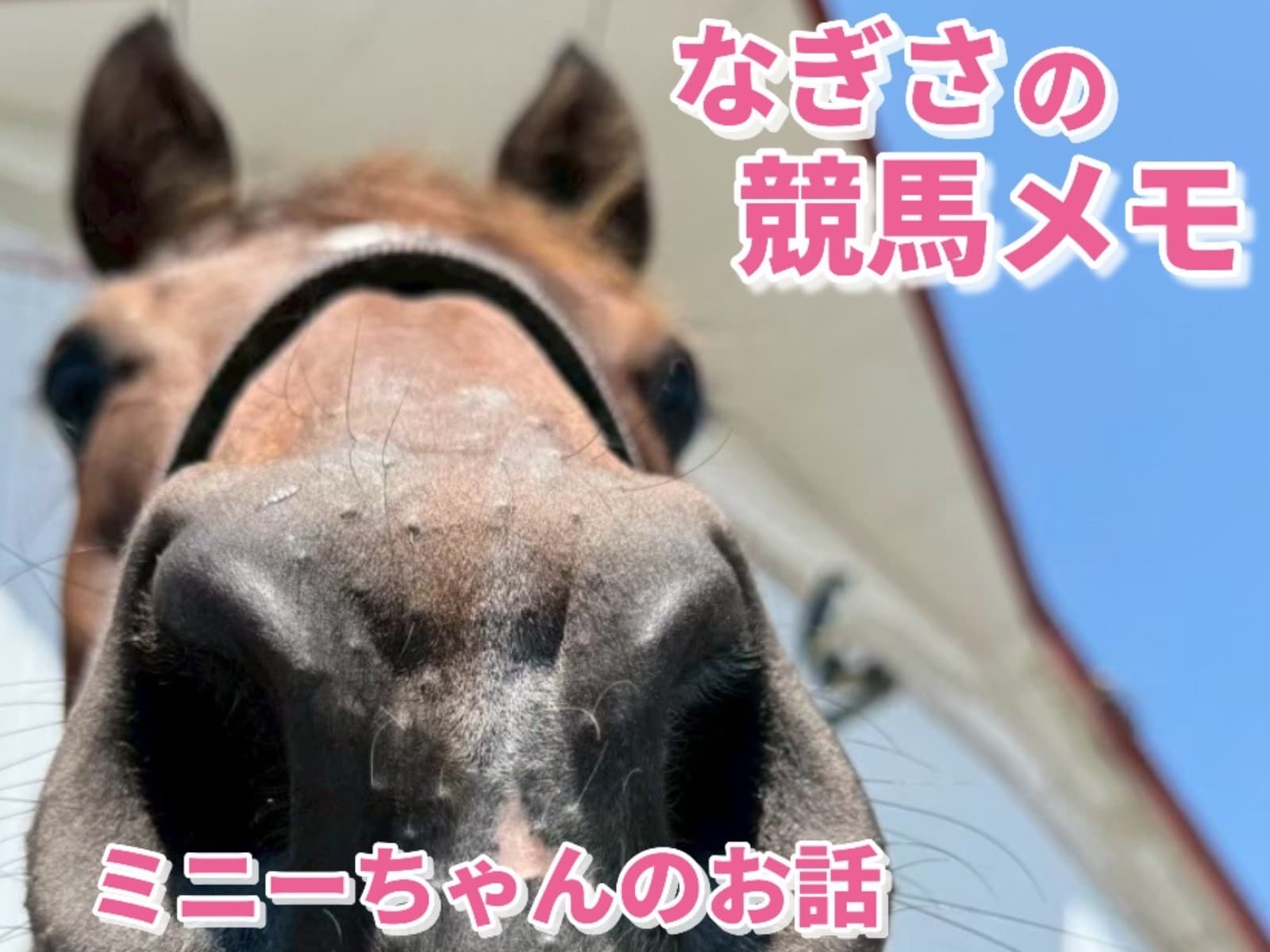 なぎさの競馬メモ：ミニーちゃんのお話・後編