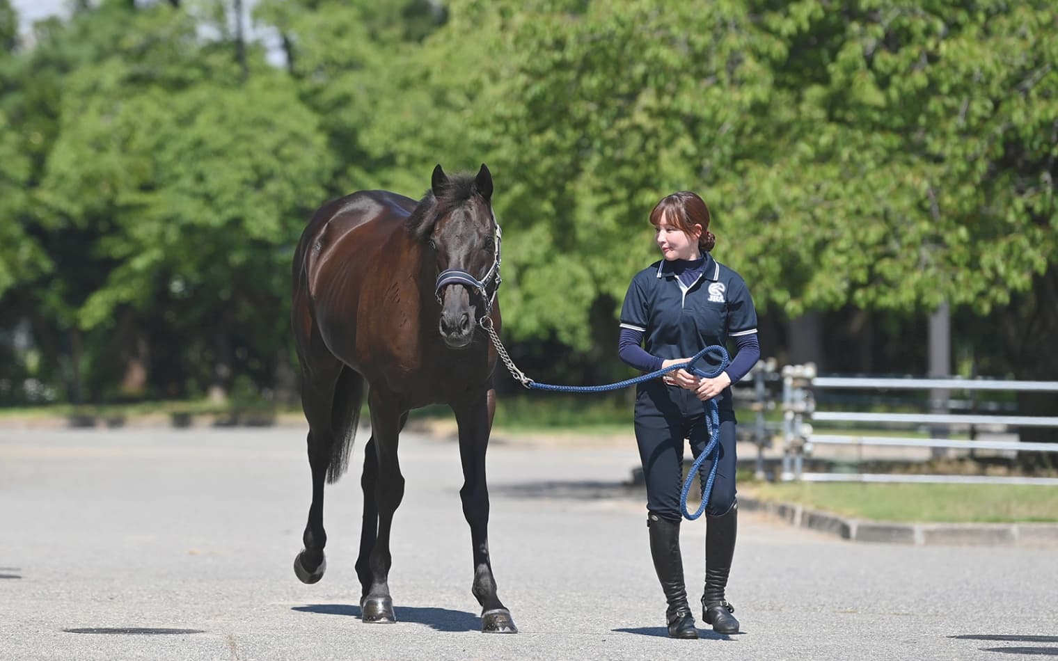第二の馬生は誘導馬 ～マイネルファンロンを訪ねて～