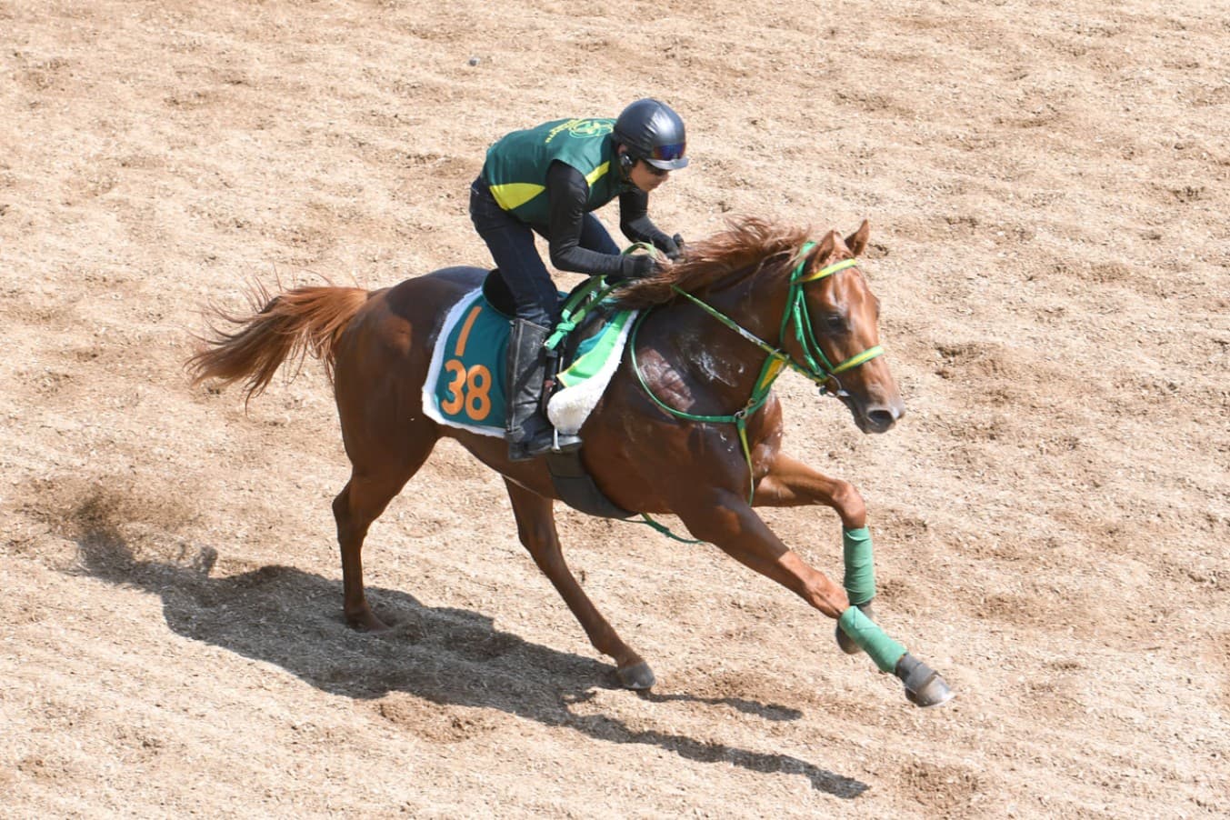 ２歳馬情報：デミアン(ミラアルタの2024)