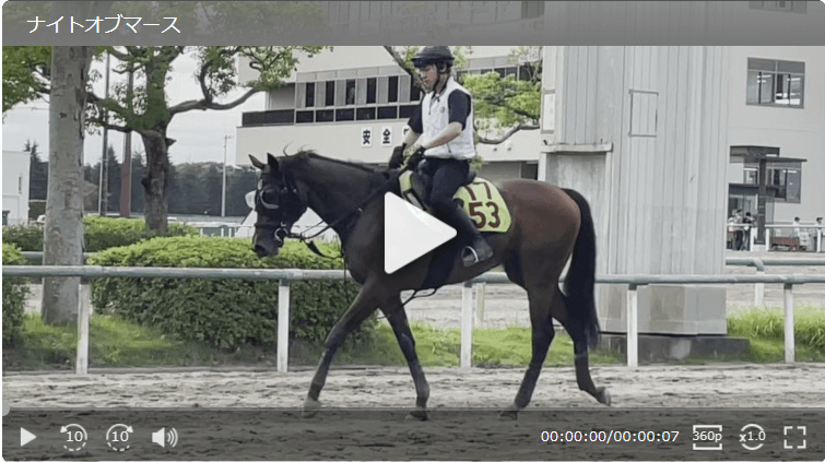 【動画・2歳盛り】ナイトオブマース
