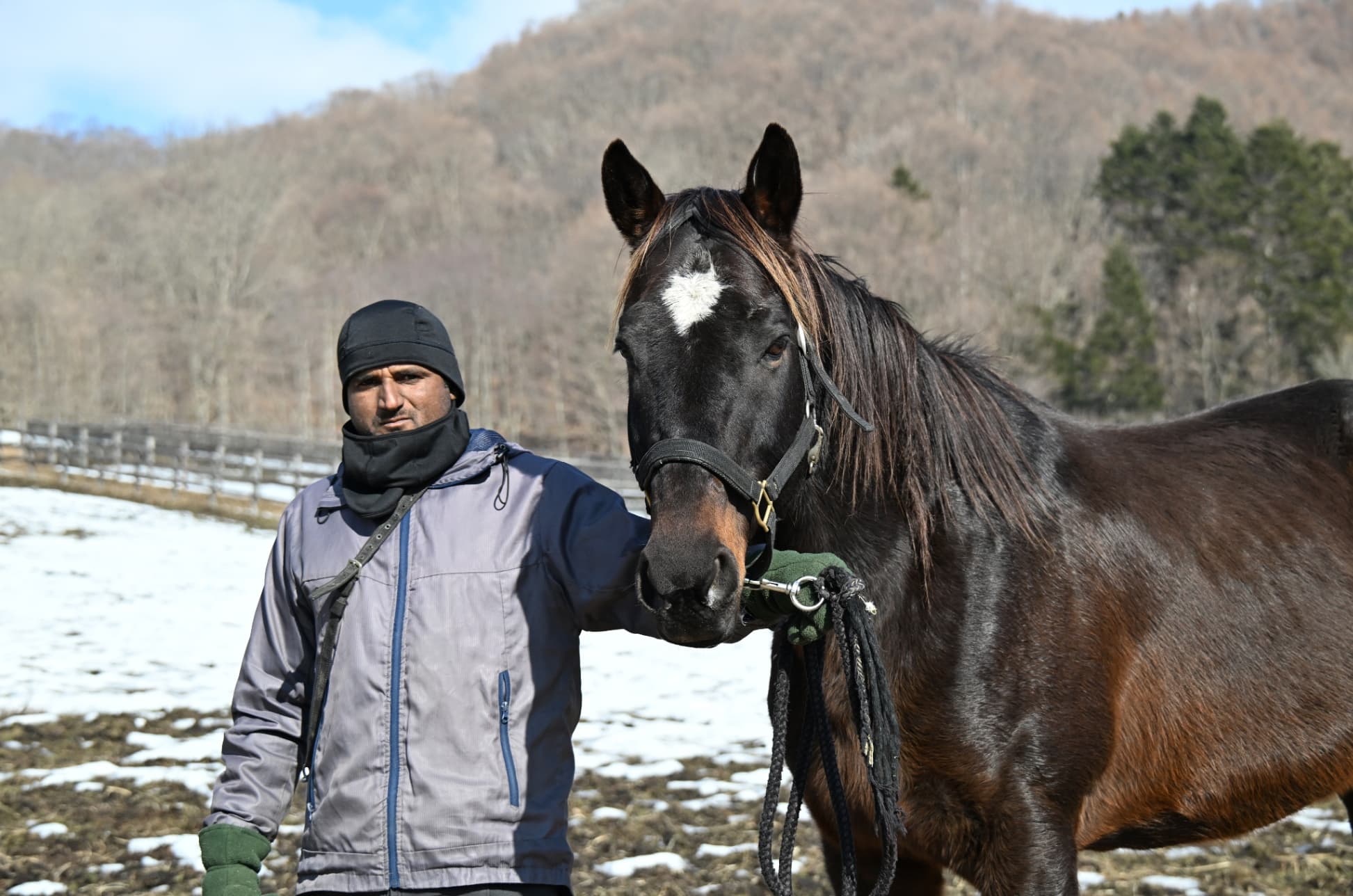 風のたより：サクラゴスペル　“サクラ”の名馬が過ごした特別厩舎で余生を送る