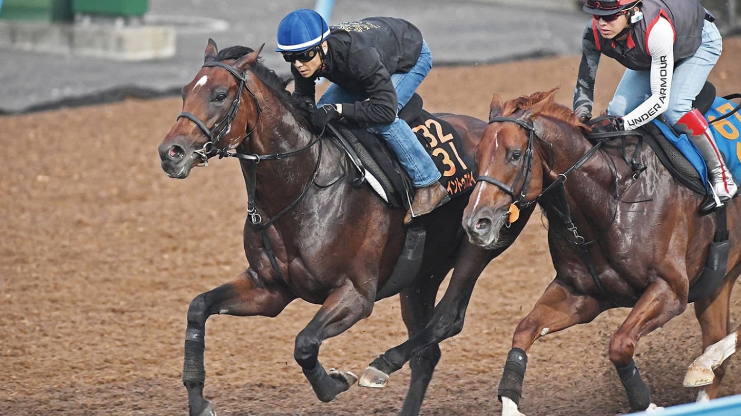 セントライト記念：王者への挑戦状