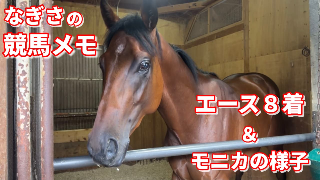 エース8着＆モニカの様子