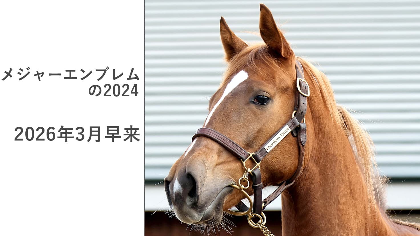 2歳馬情報：スターバーナー（メジャーエンブレムの2024）3月上旬