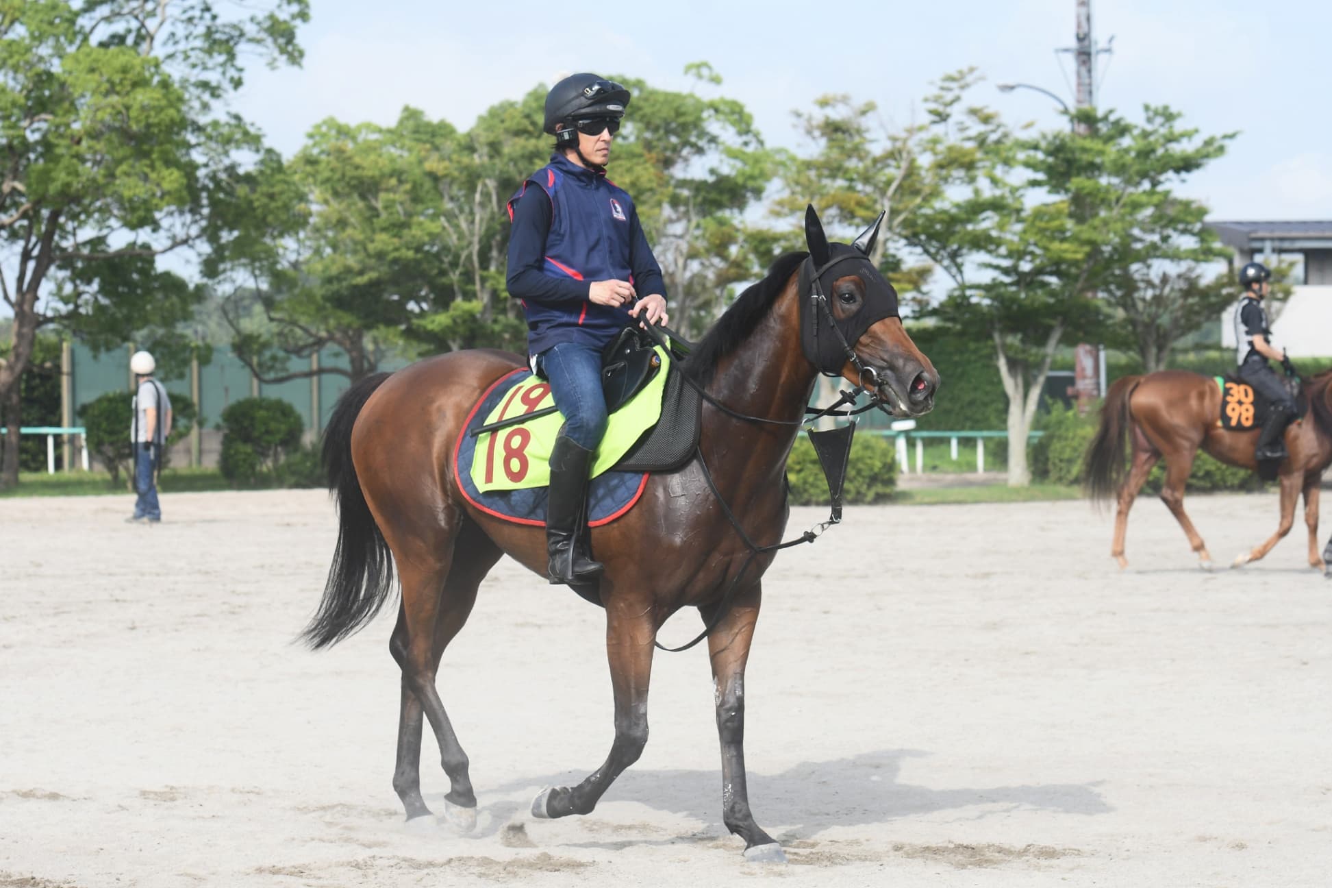 ２歳馬情報：レジューノワール（アーモンドアイの2024）