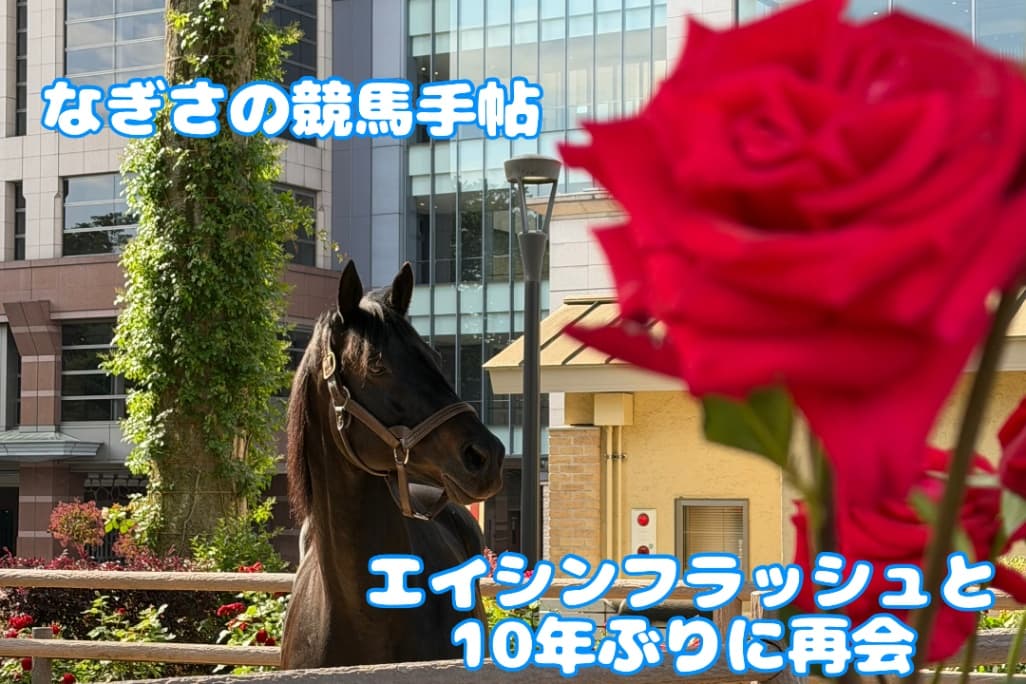 なぎさの競馬手帖：エイシンフラッシュと10年ぶりに再会