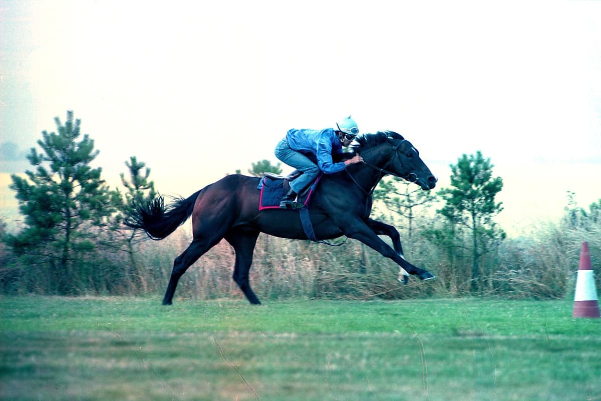 武豊＆ホワイトマズルが挑んだ〝キングジョージ〟　元Gallop編集長の取材日誌～追憶の１９９４夏②