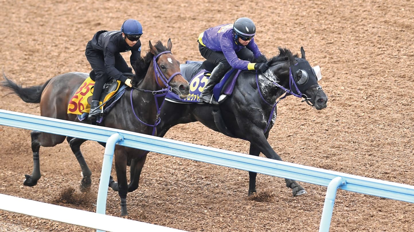 安田記念（6月7日 東京 GⅠ 芝1600㍍）