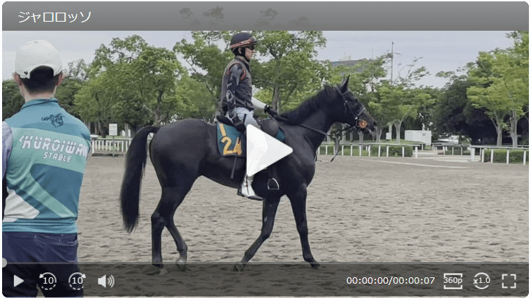 【動画・2歳盛り】ジャロロッソ	