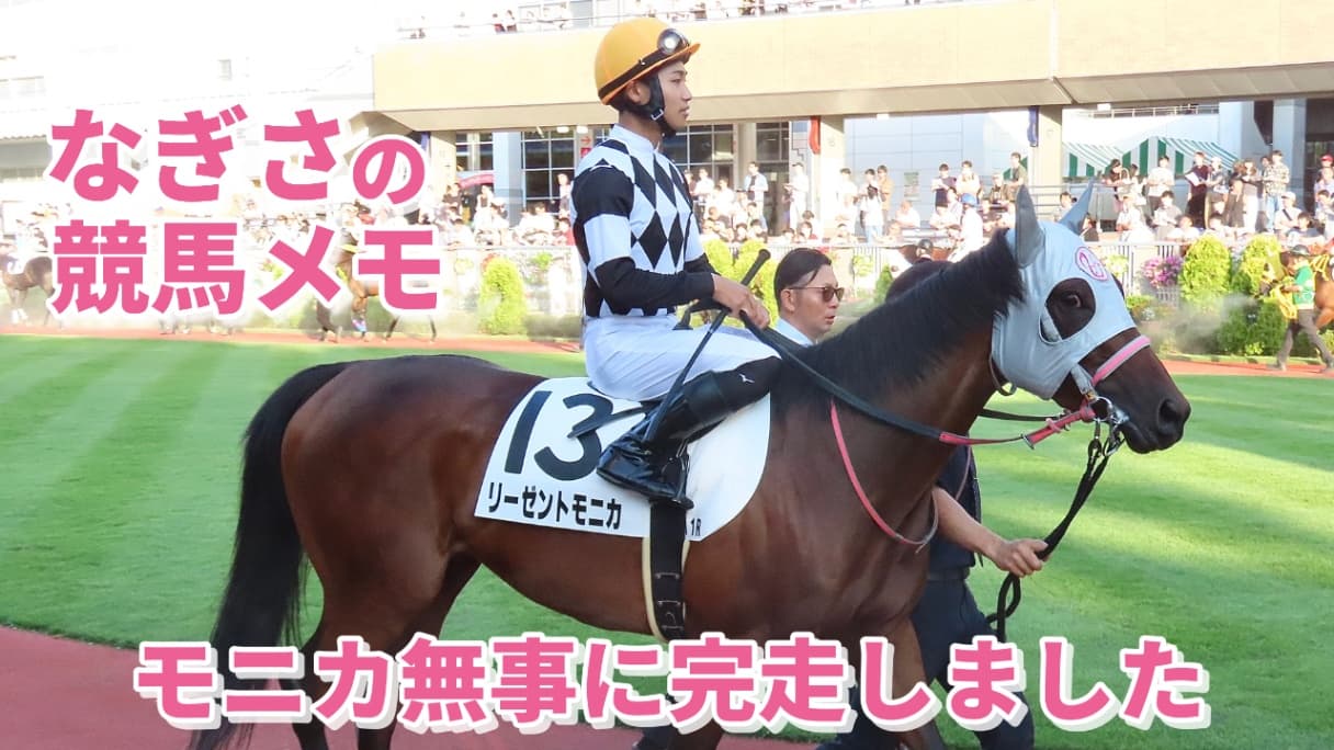 モニカ無事に完走しました