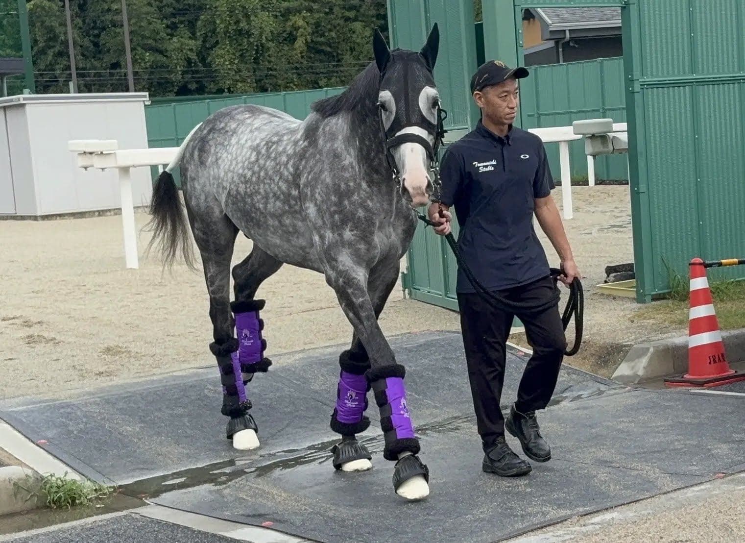 凱旋門賞への道：アドマイヤテラと挑む岩崎毅調教助手「メイショウタバルと仲良くやっています」