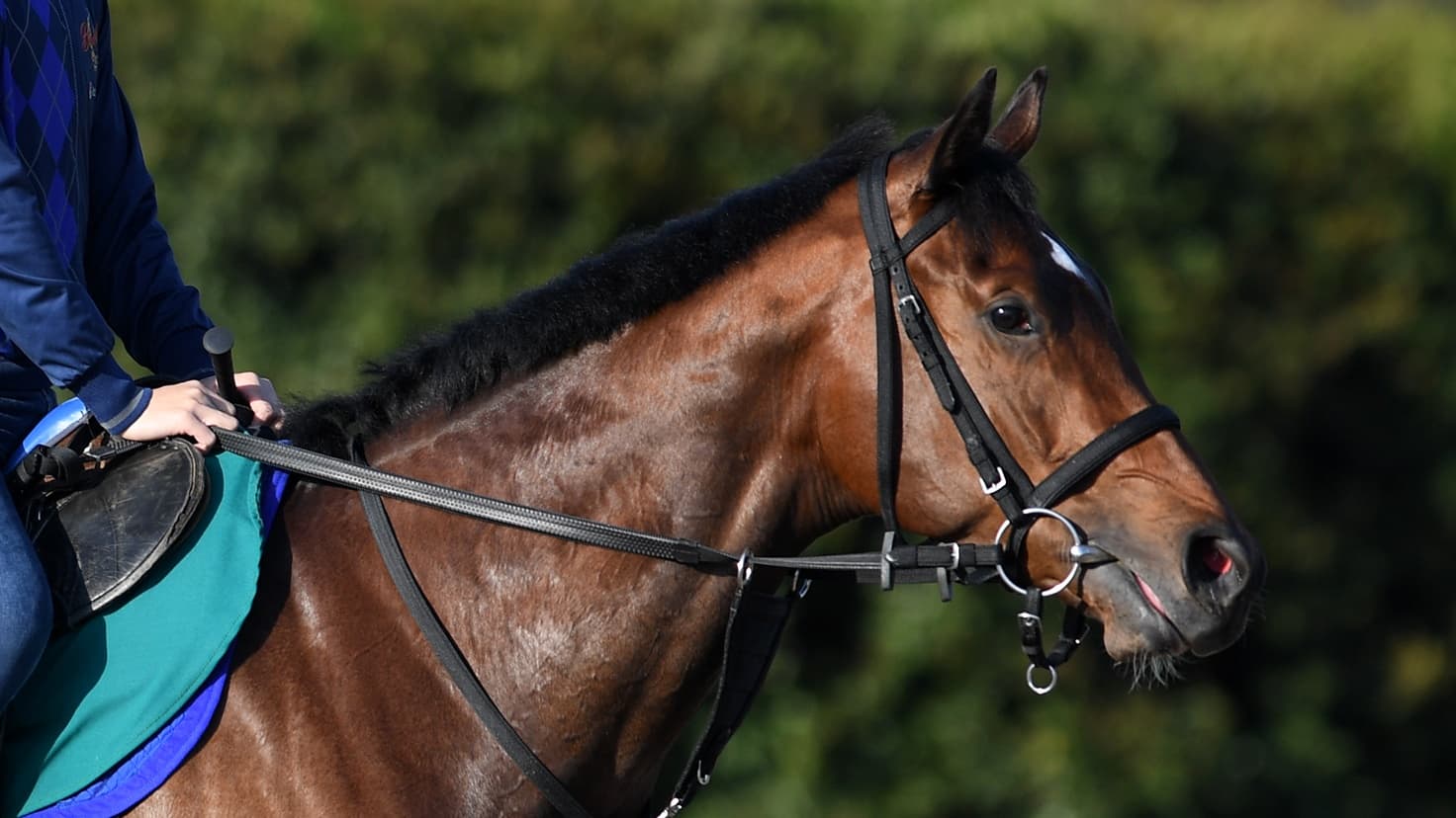 2歳馬情報：アラータス(ゴールディーエスポニーの2024)　4月上旬