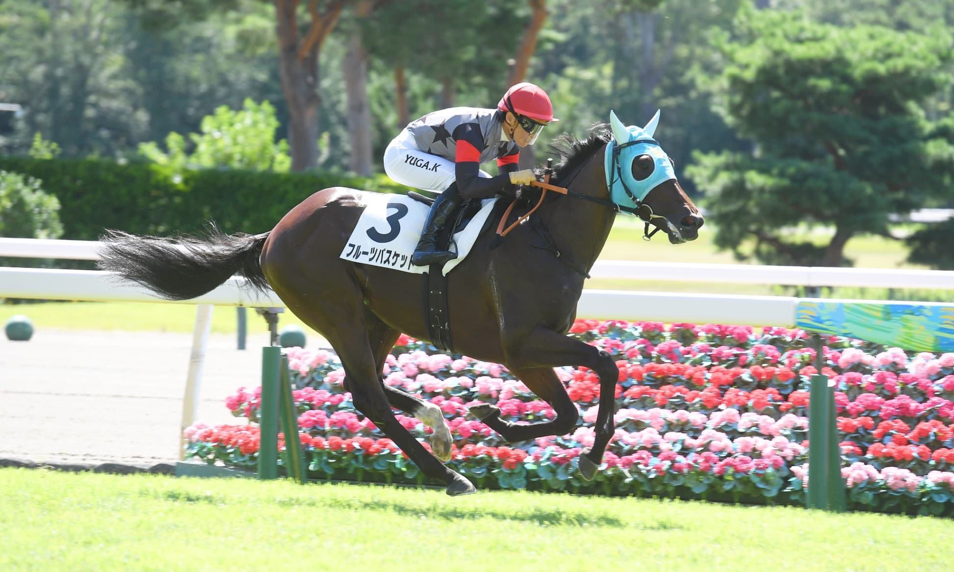 2歳馬情報：フルーツバスケット（オーソレミオの2024）