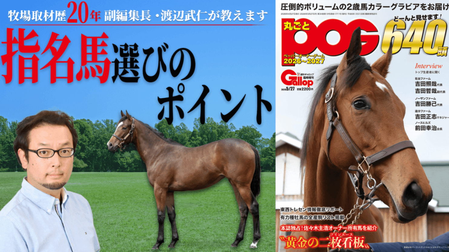 ＰＯＧ初心者へエキスパートが指南！　指名馬の選び方